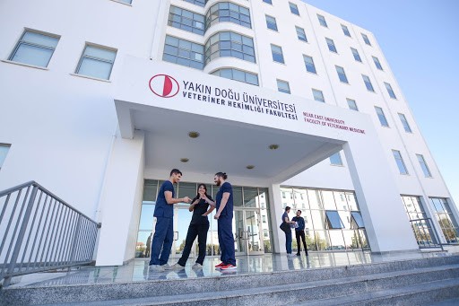 “Korana virüse karşı 35 farklı hayvan üzerinde araştırma yapıldı 