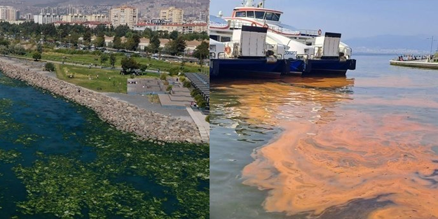 Körfez can çekişirken Soyer İzmirlilerle dalga geçti! 'Çoluk çocuk yüzeceğiz'