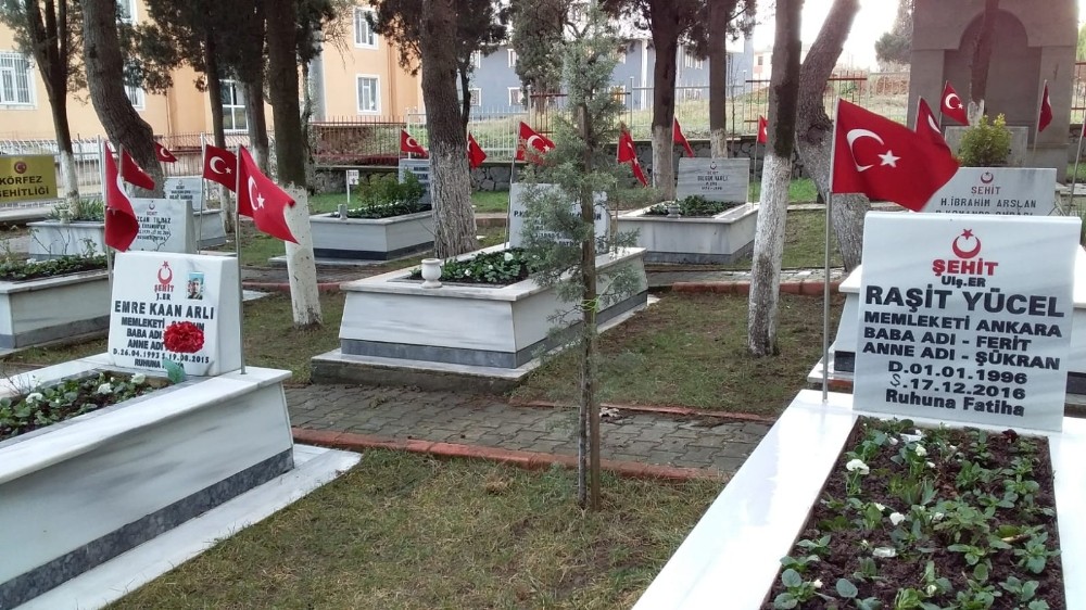 Körfez Şehitliği bakıma alındı 