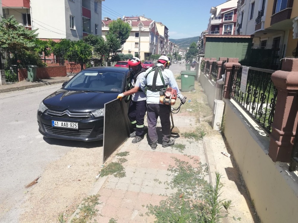 Körfezde çevre düzenleme çalışmaları devam ediyor 