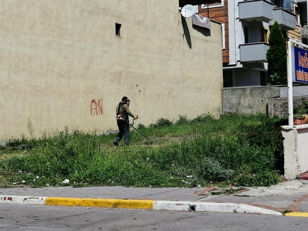Körfez’de ilaçlama ve ot biçme çalışmaları sürüyor 