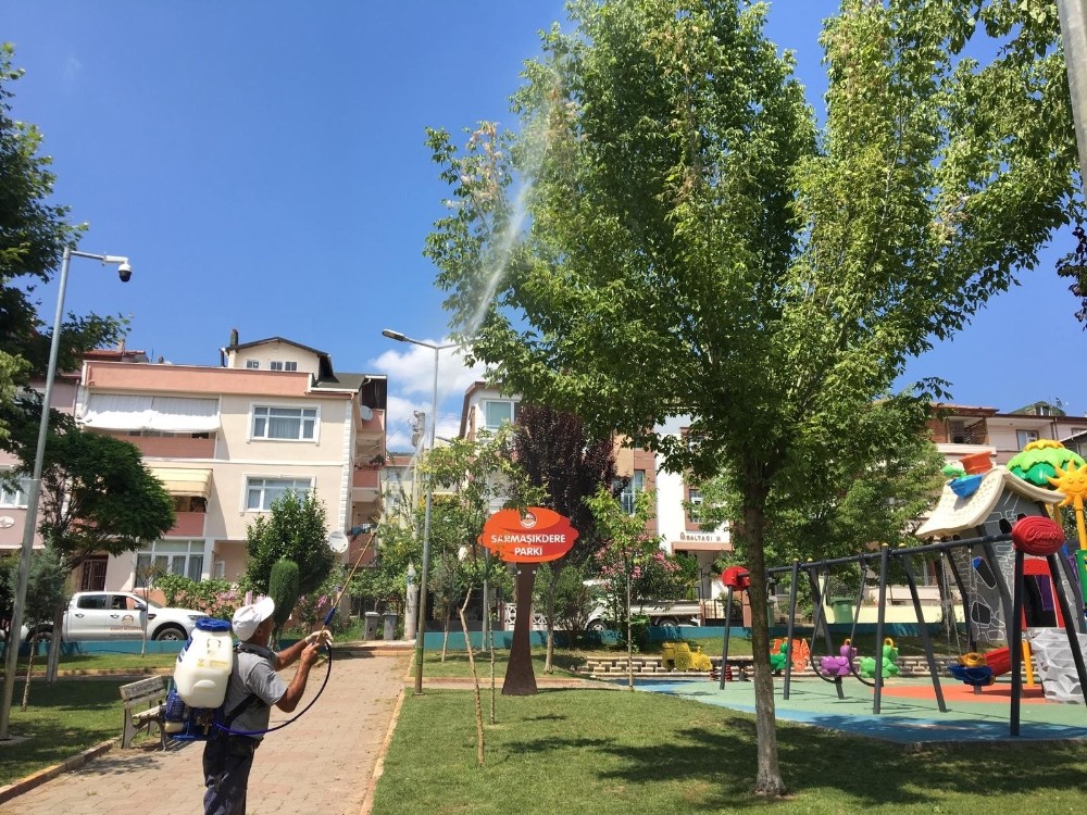 Körfez’de tırtılla mücadele sürüyor 