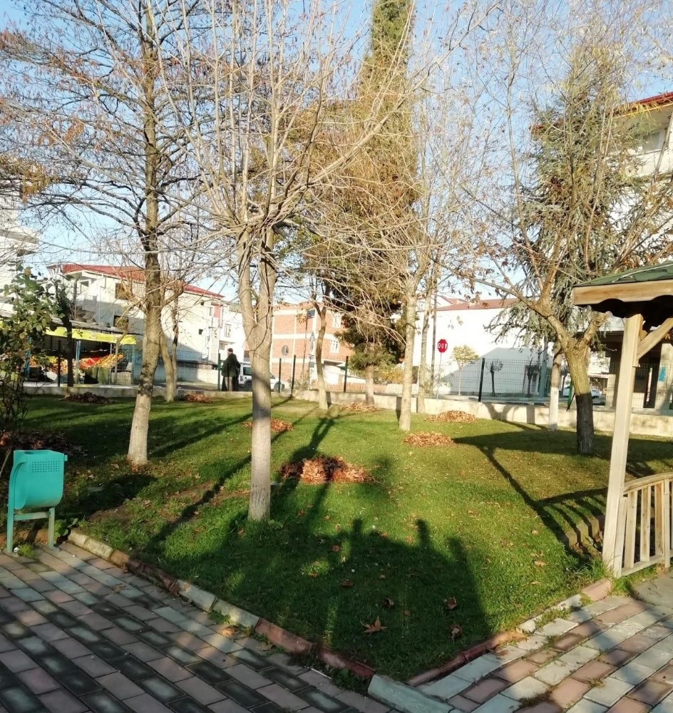 Körfez’in boş arazileri temizlendi 