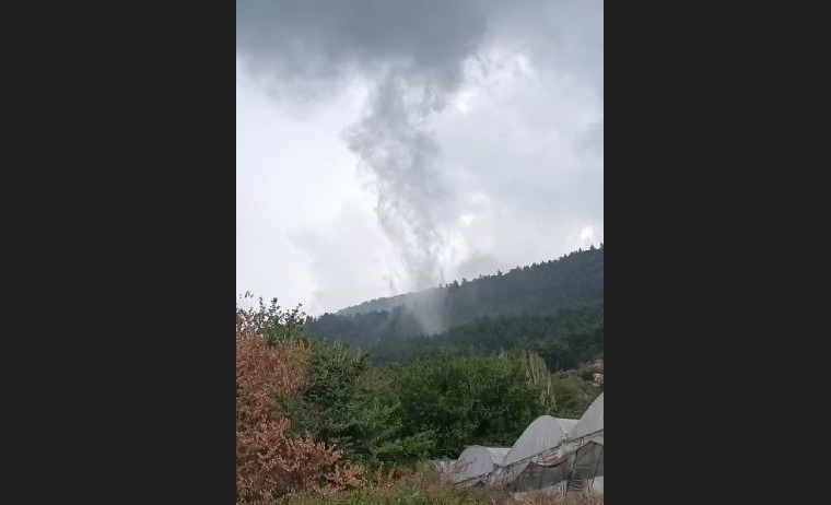 Korku dolu anlar kamerada! Ormanlık alanda hortum oluştu