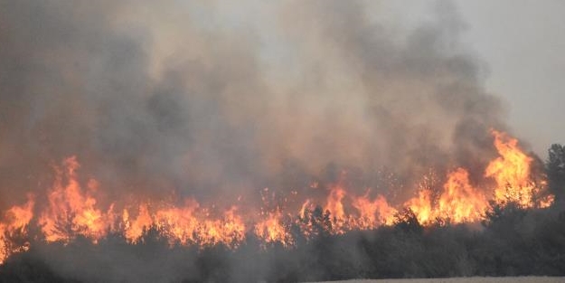 Korku dolu anlar! Park halindeki araç bir anda alev aldı
