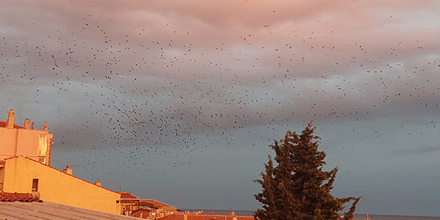 Korku filmlerini aratmadı! Gökyüzünde endişelendiren görüntü