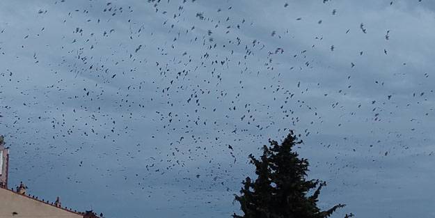 Korku sahnelerini aratmayan görüntü! Gökyüzüne bakan bir daha baktı