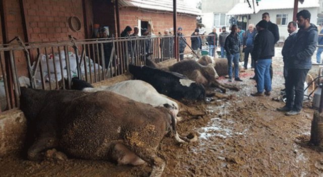 Korkunç! Bir anda hepsi bu hale geldi…