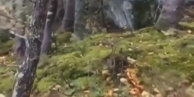 Korkunç görüntü: Endonezya'da deprem anı