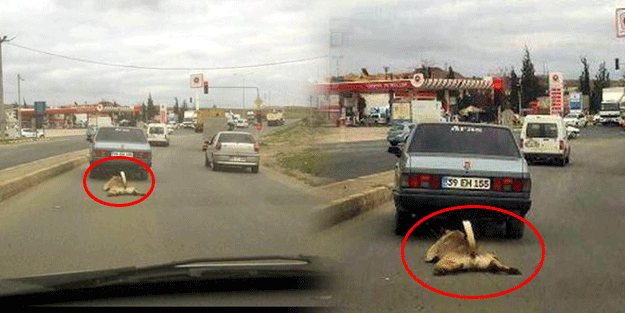 Korkunç! Her yerde aranıyor...