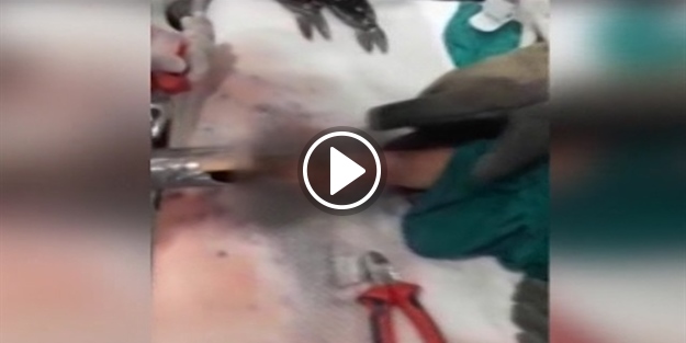 Korkunç kaza: 2 yaşındaki çocuk elini kıyma makinesine...