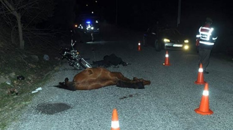 Korkunç kaza! Motosiklet ata çarptı