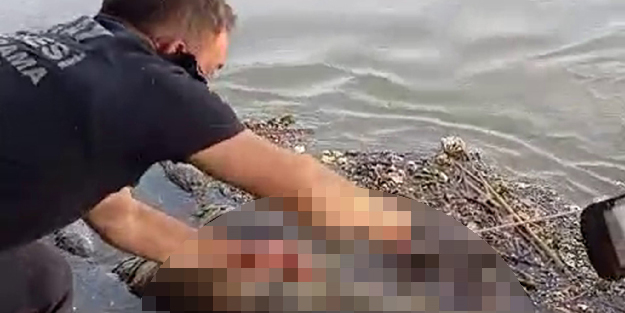 Korkunç manzara! Nehirde erkek cesedi bulundu