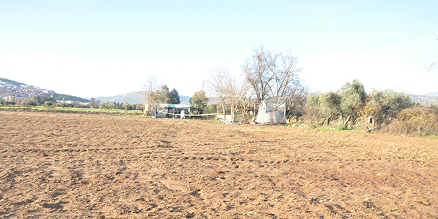 Korkunç manzara! Tarlada erkek cesedi bulundu