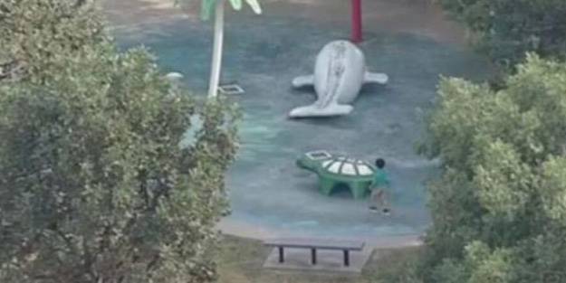 Korkunç olay! Çocuğun burnundan giren amip beynini yedi