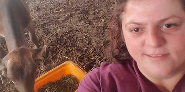Korkunç olay! İneği kurtardı, kendi öldü