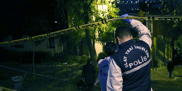 Korkunç olay! Ormana giden adamı yabani hayvanlar parçaladı