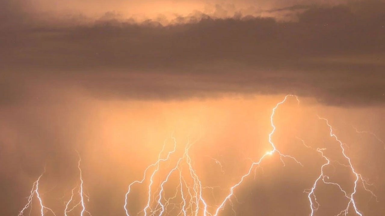 Korkunç olay! Ormanlık alanda piknik yaparken…