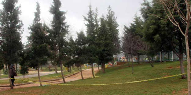 Korkunç olay! Toprağa gömülü ceninin eli, parkta bulundu