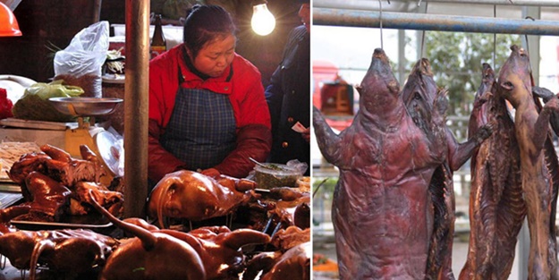 Korkutan açıklama! Koronavirüsün yayıldığı pazardan daha tehlikelisi gelecek