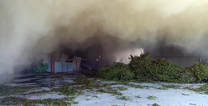 Korkutan fabrika yangını