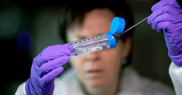 Korkutan grip salgını