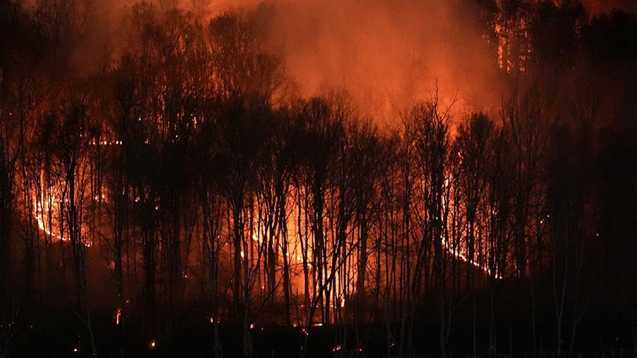 Korkutan tablo açıklandı: Orman yangınları daha da şiddetlenecek
