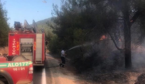 Korkutan yangın! Alev alev yandı