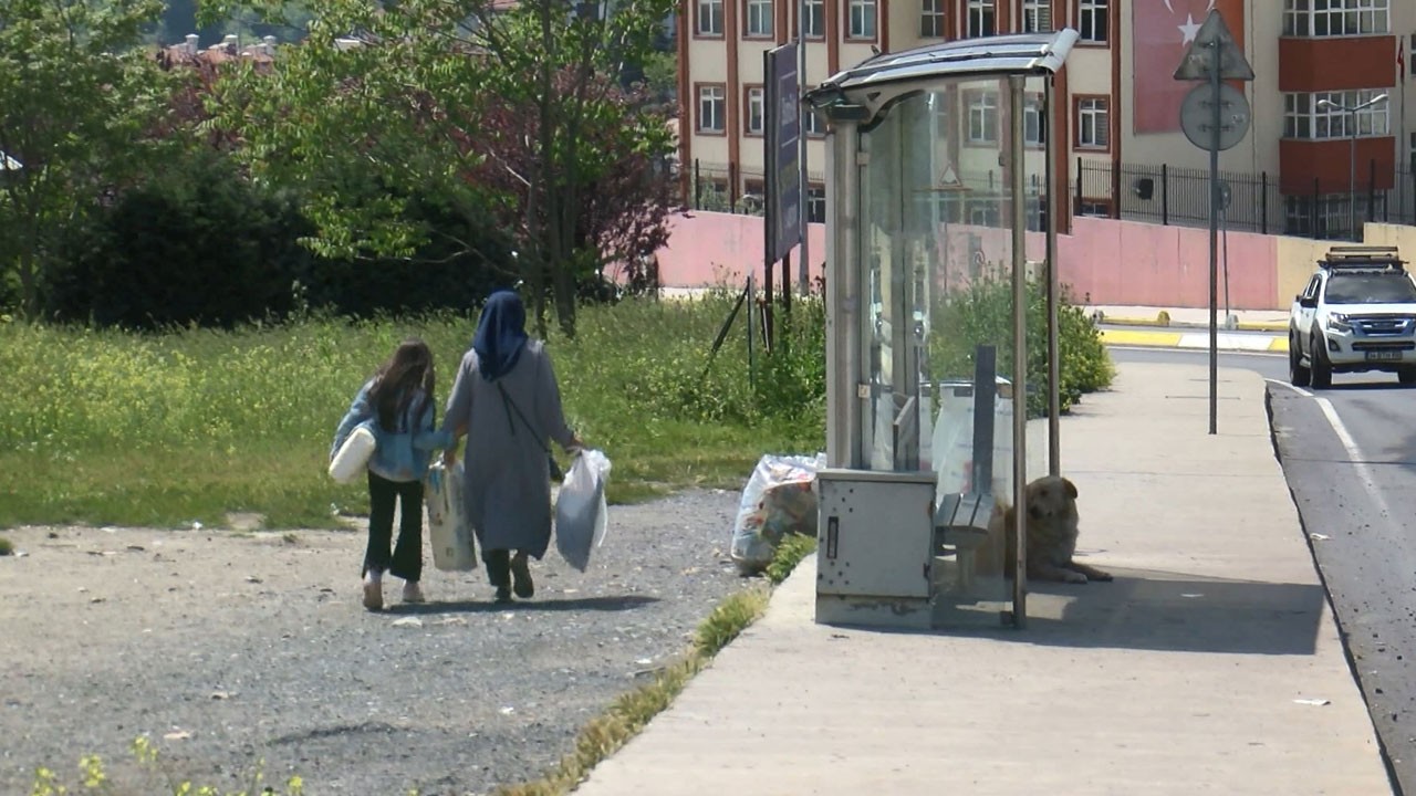 Kornalar hayatını kurtardı! Sokak köpekleri 17 yaşındaki Zehra’ya saldırdı