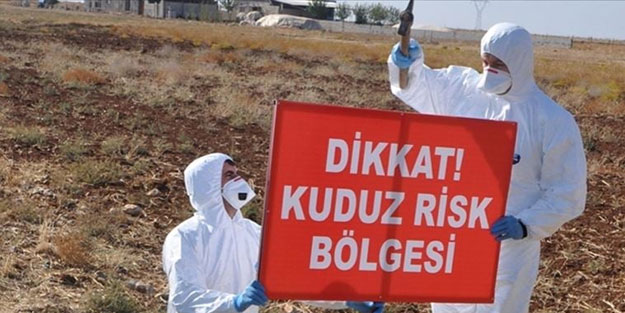 Korona değil kuduz! Bir köy karantina altlına alındı