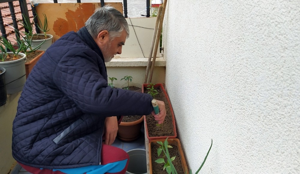 Korona günlerini balkonda sebze yetiştirerek geçiriyorlar 