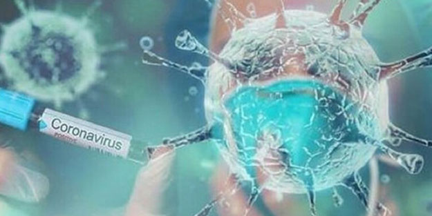 Korona hangi ülkede mutasyona uğradı?