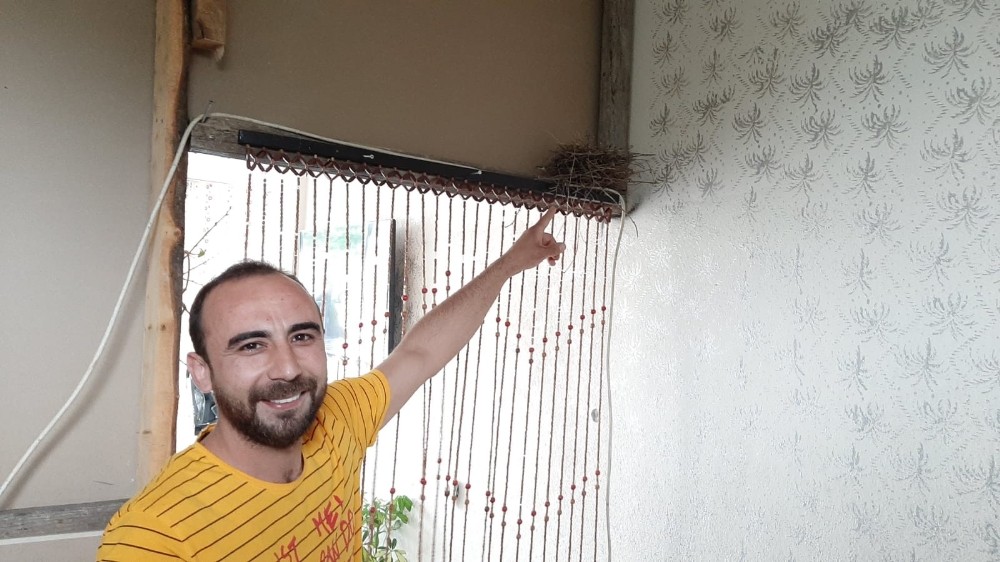 Korona tedbirinde kapatılan berber dükkanına kuşlar yuva yaptı 
