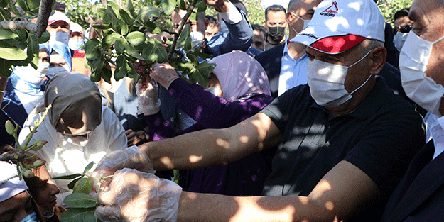 Korona testleri negatif çıkan Binali Yıldırım’dan flaş açıklamalar