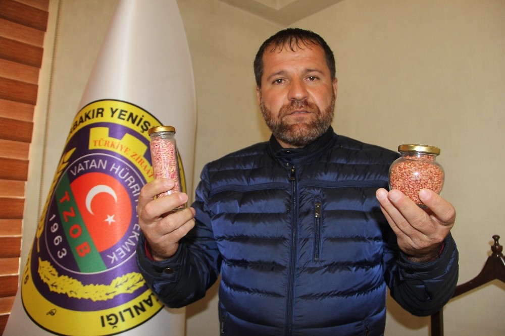 Korona virüs çiftçileri de vurdu 