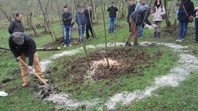 Korona virüs fındık ihracatını engelleyemedi 