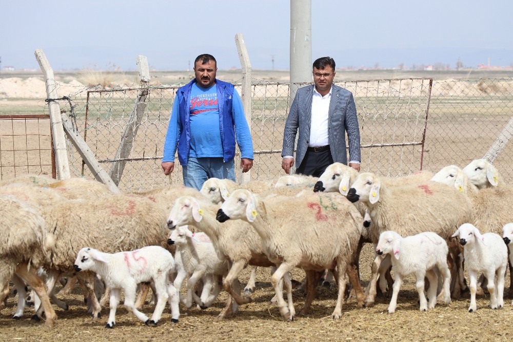Korona virüs fırsatçılarının yem fiyatlarında yaptığı fahiş artışa tepki 