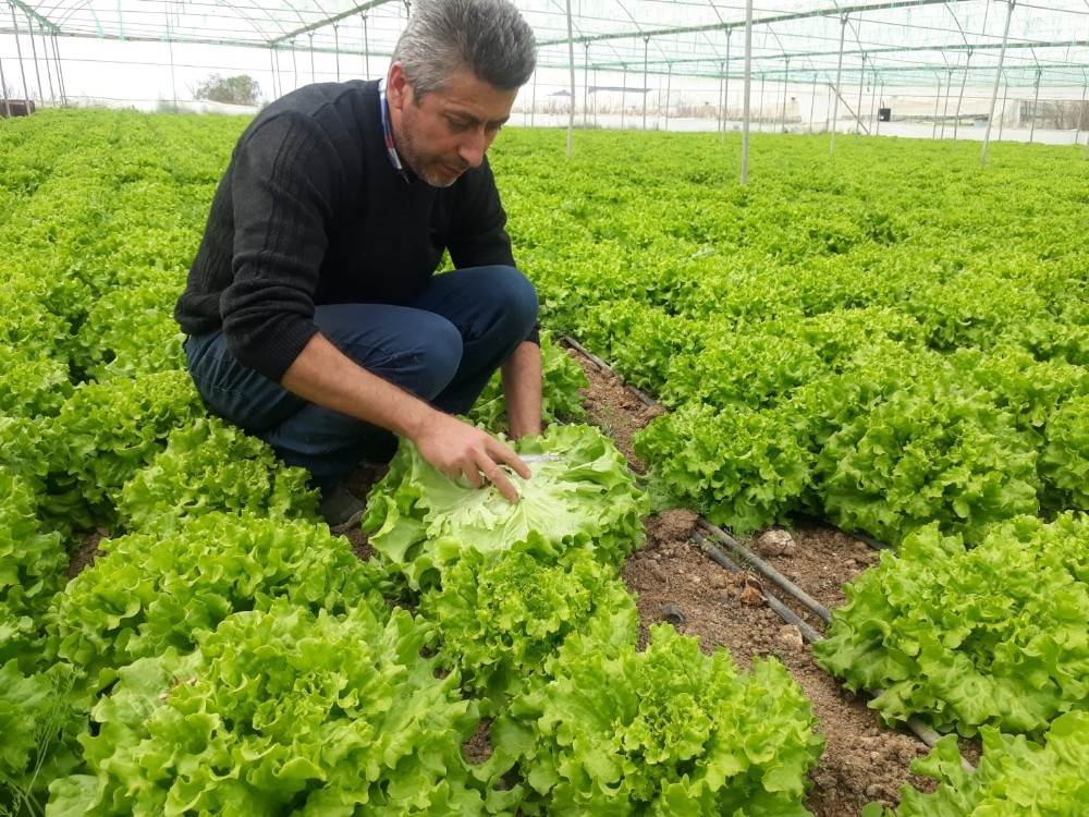 Korona virüs fiyatını yarı yarıya düşürdü 