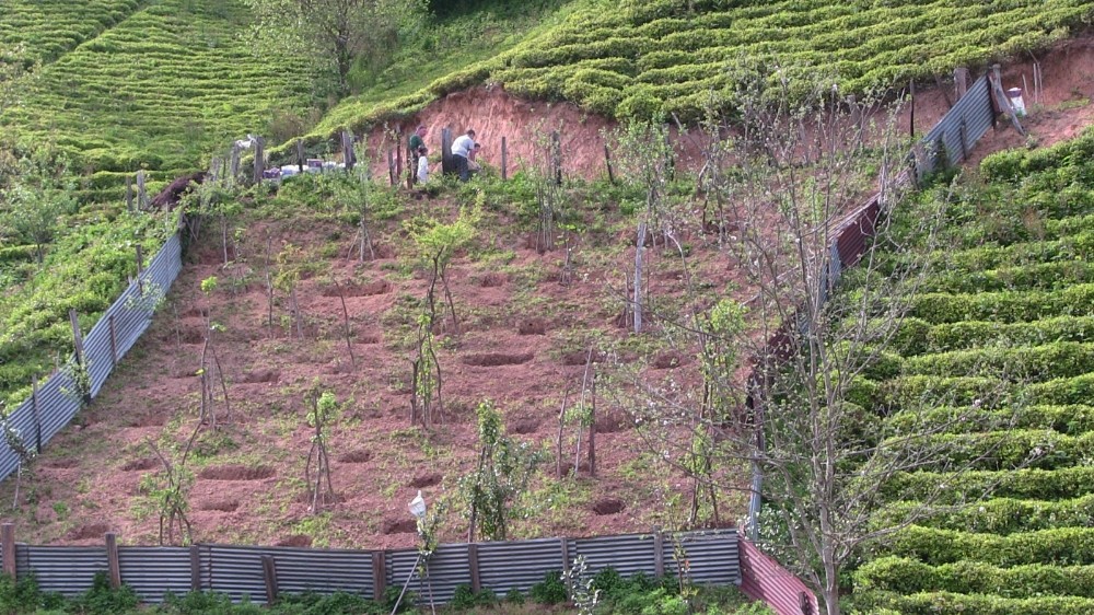 Korona virüs karantinaları sonrası Artvin’in Borçka ilçesinde köylere göçler başladı 