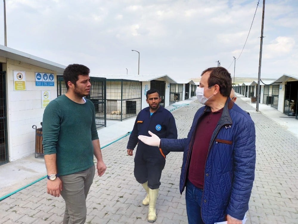 Korona virüs sahipsiz hayvanların bakımına engel olmadı 