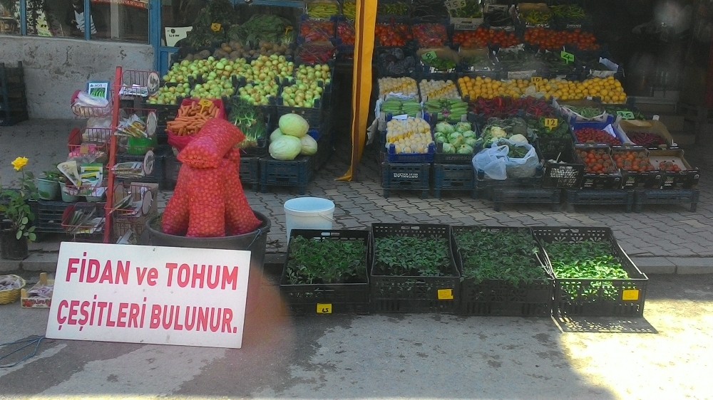 Korona virüs sürecinde sebze fidelerini dikme dönemi 