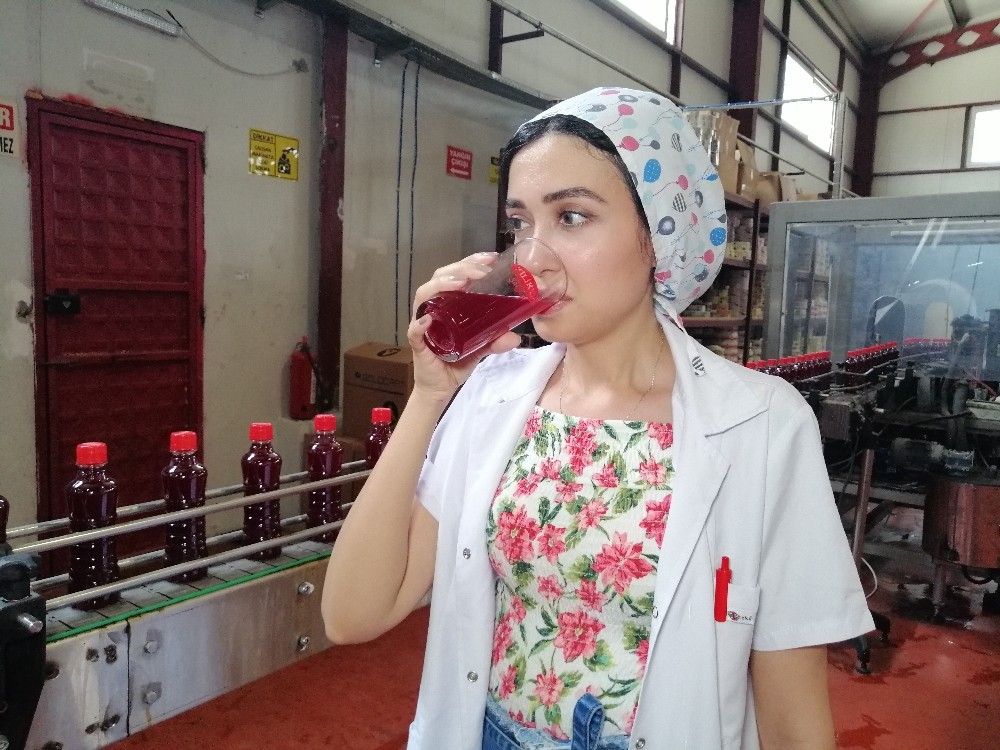 Korona virüs ve tescil, şalgam ihracatını arttırdı 