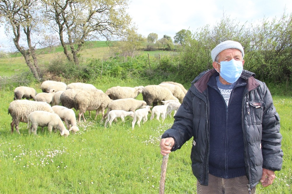 Korona virüse inat bu köyde tarım ve hayvancılık sürüyor 