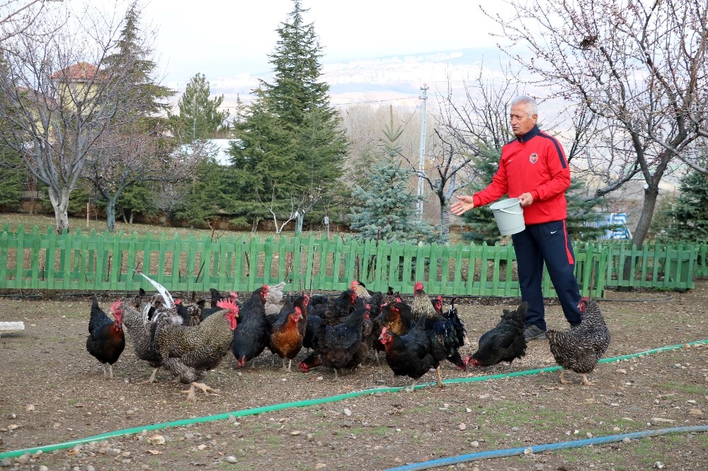 Korona virüsten korunmak için şehir hayatını bıraktı, köyüne yerleşti 