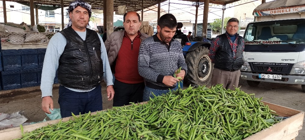Korona virüsü baklayı da vurdu 