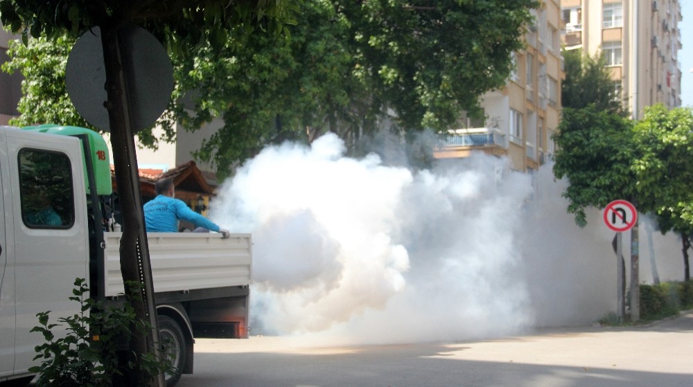 Korona virüsü duman ettiler 