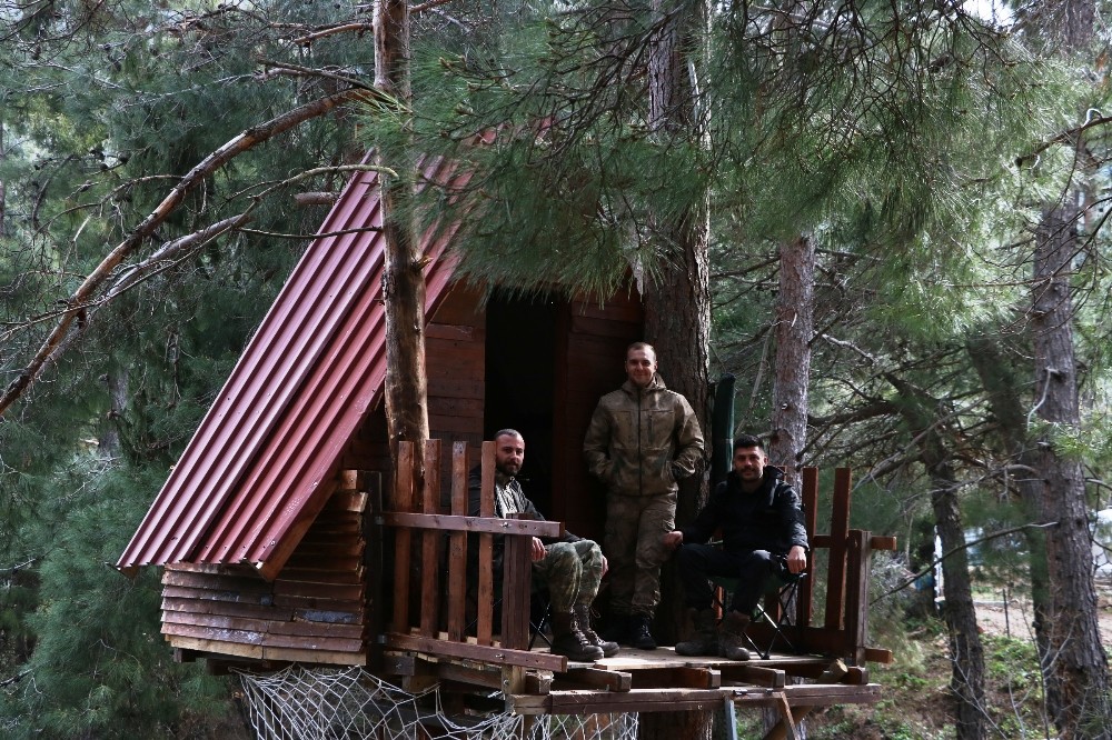 Korona virüsünden ağaç tepesine yaptıkları evde korunuyorlar 