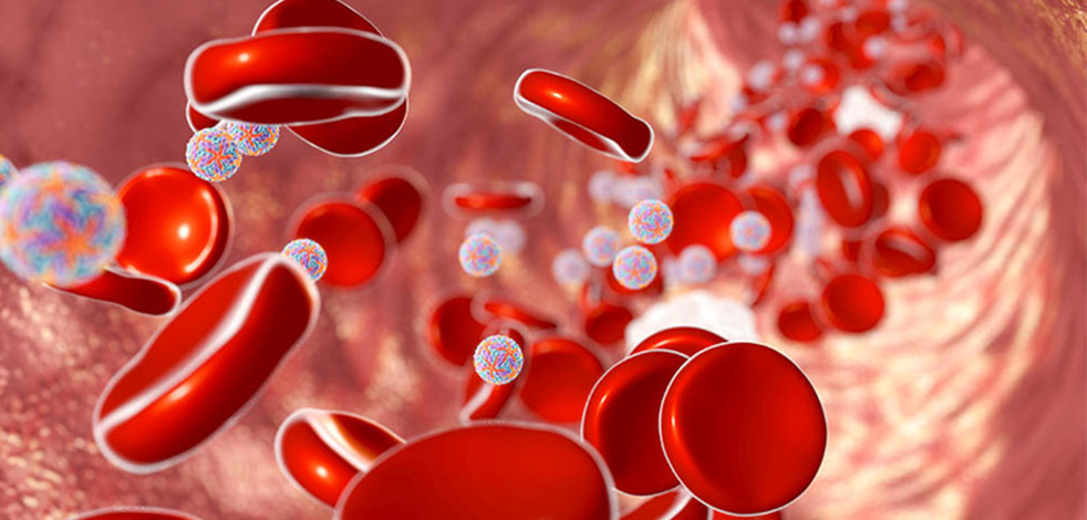 Koronanın ardından şimdi de zika virüsü dünyayı tehdit ediyor: Hindistan alarma geçti!