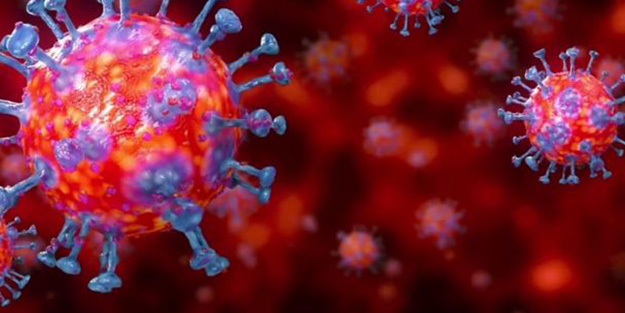 Koronavirüs atlattıktan sonra bakın neye şükretti