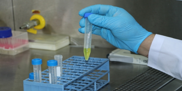 Koronavirüs belirtisi olmayanlara koronavirüs testi yapılıyor mu?